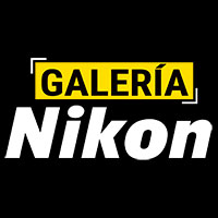 Banner Lateral Galeria
