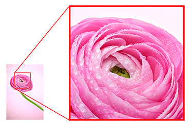 Disparos Pixel Shift totalmente automticos