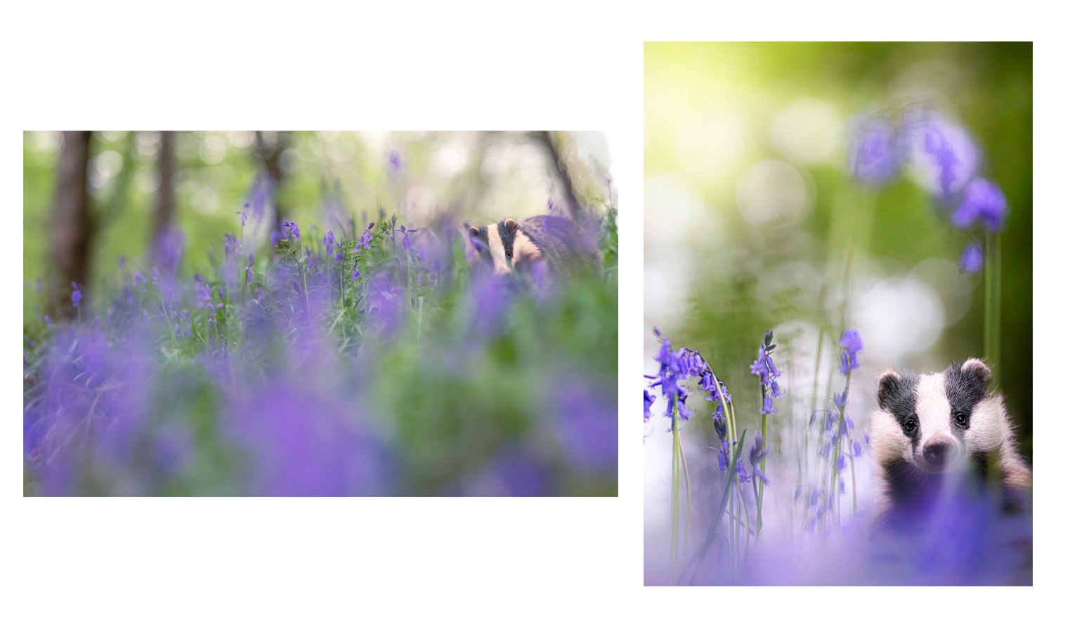 Esquerda: Z9 + NIKKOR Z 135 mm f/1.8 S Full, 135 mm, f/1.8, 1/2500 s, ISO 4000. Direita: Z9 + NIKKOR Z 135 mm f/1.8 S Full, 135 mm, f/1.8, 1/1250 s, ISO 4000, Rachel Bigsby