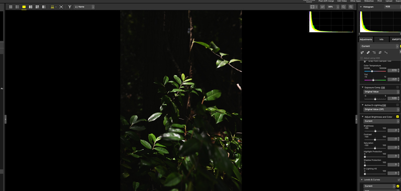 Aps a edio. John Bogna