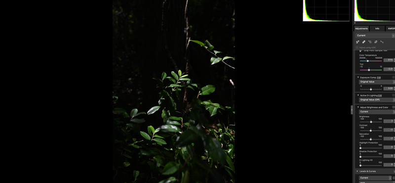 Antes da edio. John Bogna