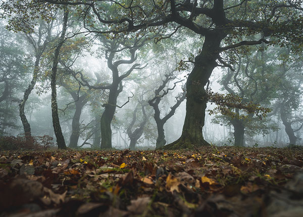 Z7 + NIKKOR Z 24-70 mm f/2.8 S, 24 mm, 1/30 s, f/9, ISO 320, Nigel Danson