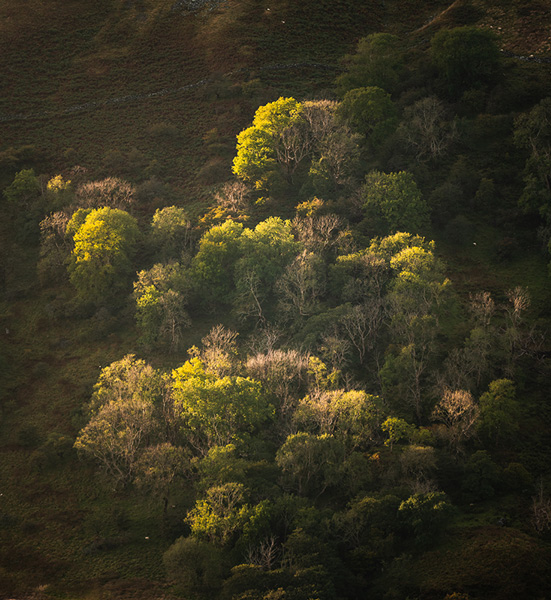 Z7II + NIKKOR Z 24-200 mm f/4-6.3 VR, 135 mm, 1/250 s, f/6.3, ISO 160, Nigel Danson