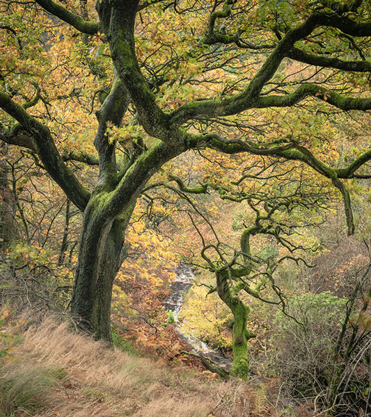 Z8 + NIKKOR Z 24-120 mm f/4 S, 24 mm, 1/2 s, f/14, ISO 64, Nigel Danson