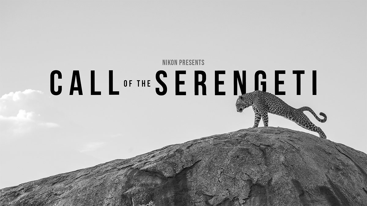 Nikon presenta |"Call of the Serengeti" (triler)