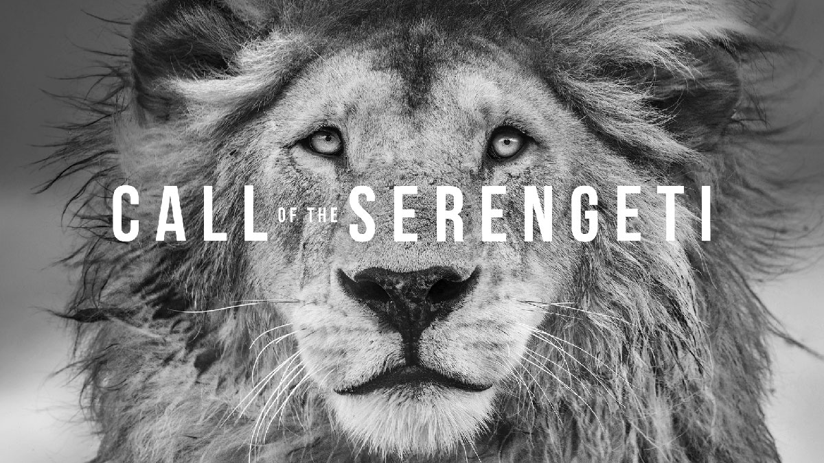 Nikon presenta | Call of the Serengeti (La llamada del Serengeti)