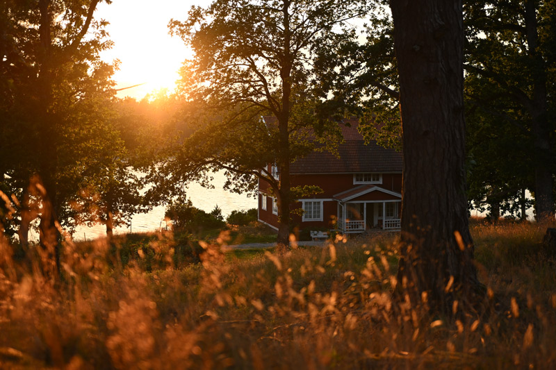  NIKKOR Z DX 16-50 mm f/2.8 VR