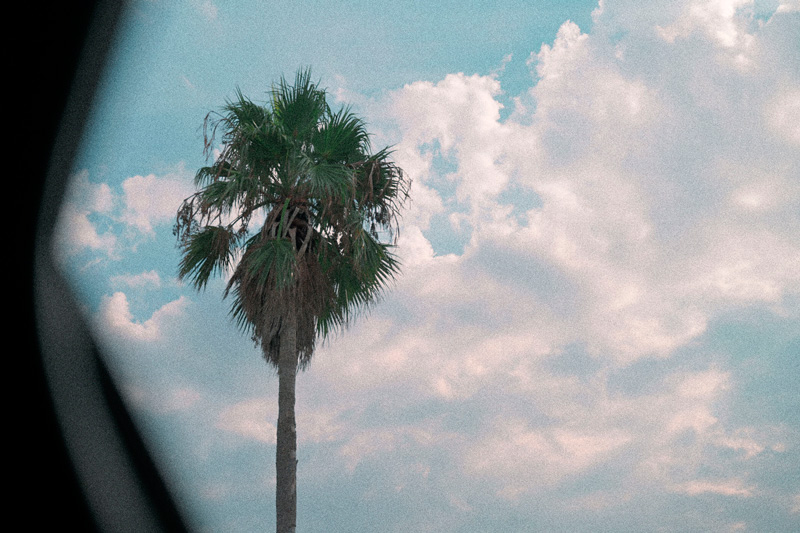  Nikon Zf | Film Grain