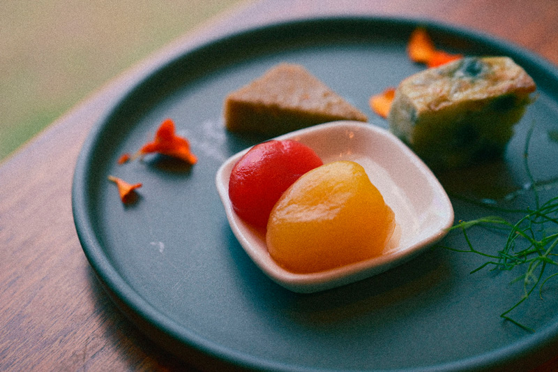  Nikon Zf | Film Grain