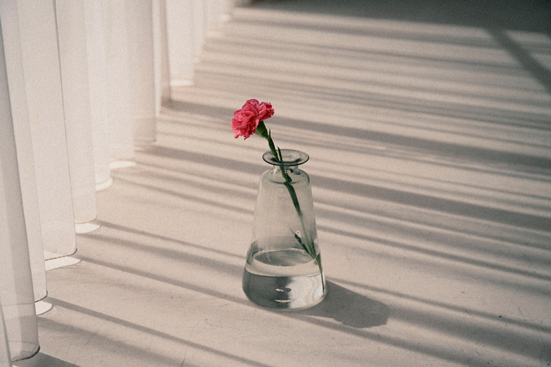  Nikon Zf | Film Grain