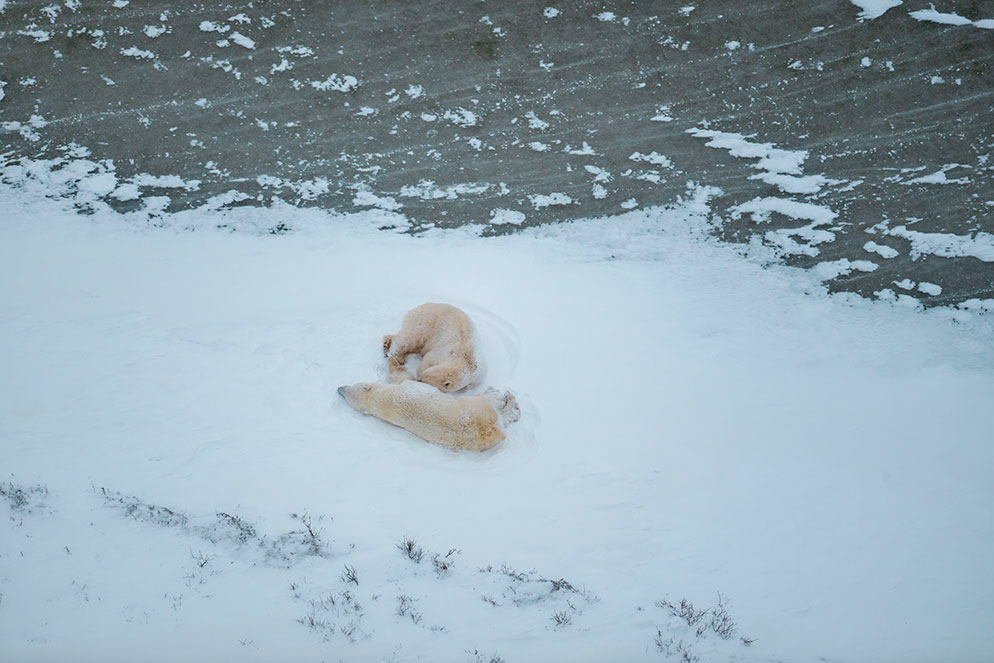 Fotografia tirada de helic�ptero com uma objectiva NIKKOR Z 100-400mm f/4.5-5.6 VR S, utilizando uma dist�ncia focal de 400mm.
