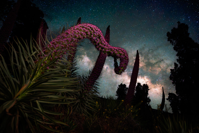 Zf + NIKKOR Z 14-24 mm f/2.8 S, 15 segundos, f/2.8, ISO 6400, Sergio Daz