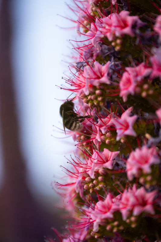 Zf + NIKKOR Z 24-120 mm f/4 S, 120 mm, 1/80 segundo, f/4, ISO 500, Sergio Daz