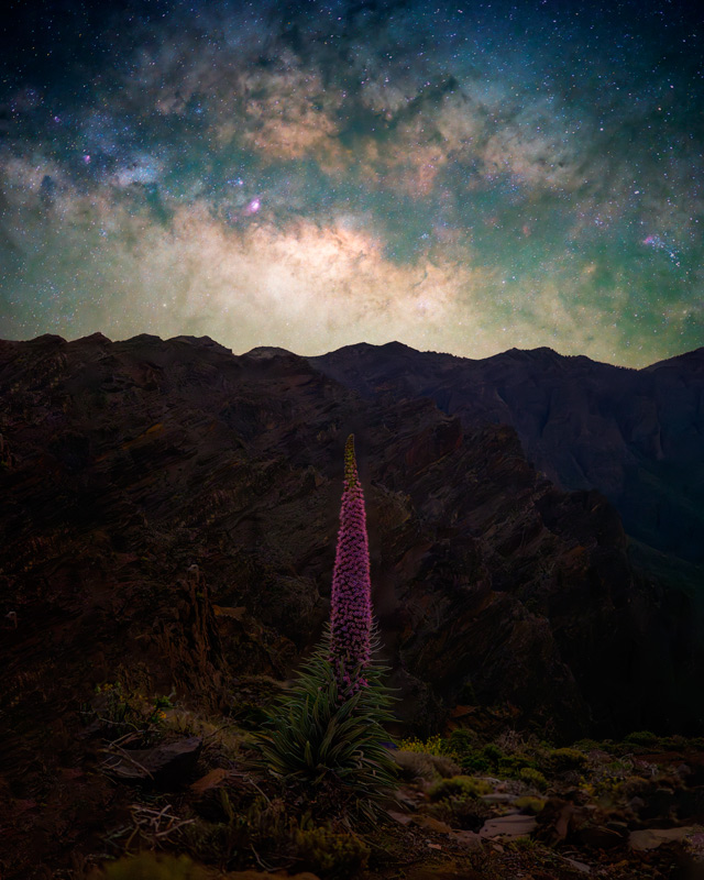 Zf + NIKKOR Z 35 mm f/1.2 S, 35 mm, 15 segundos (cu), f/1.4, 30 segundos (primeiro plano), ISO 3200 (cu), 1600 (primeiro plano)