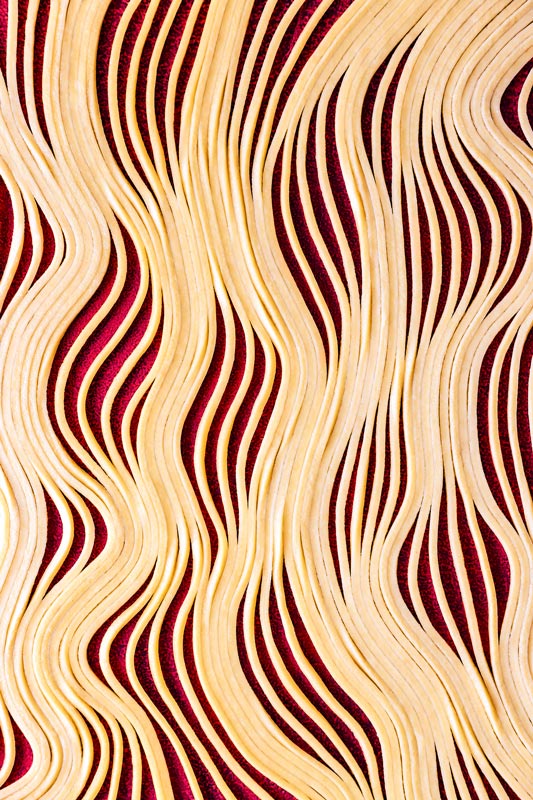 "Arresto (seg�n Bridget Riley)", 110 mm, 1/8 s, f/11, ISO 100