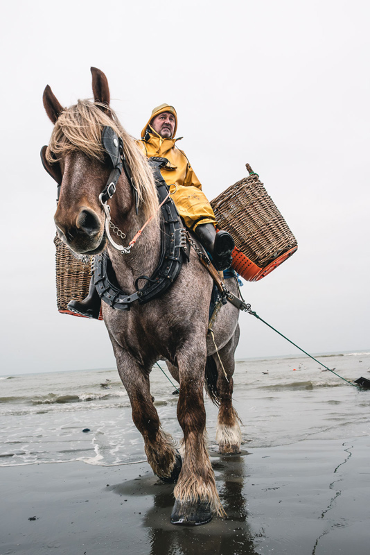 Nikon Z5II - Israel Gutier