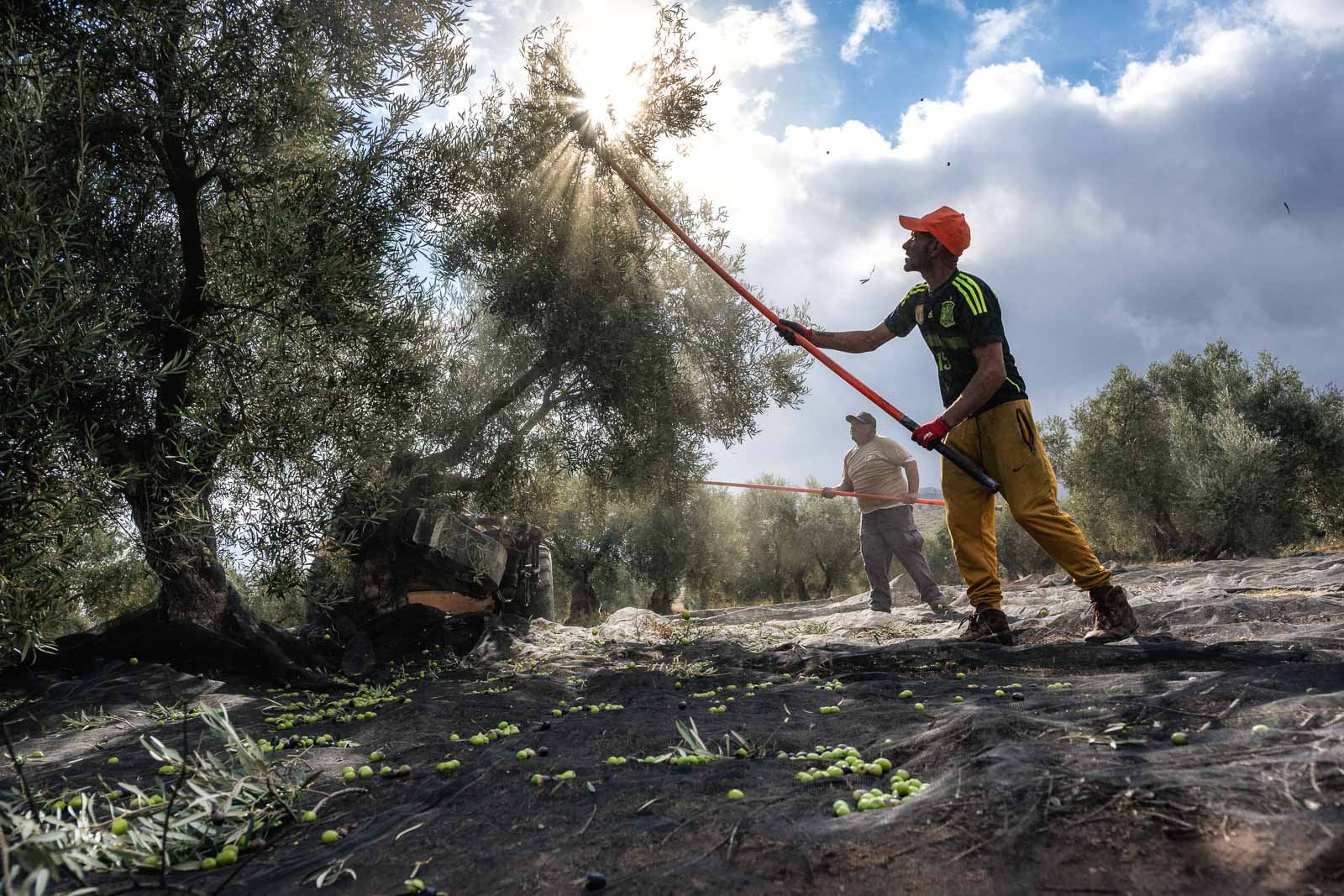 Nikon Z5II - Israel Gutier
