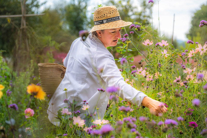 Nikon Z5II - Israel Gutier