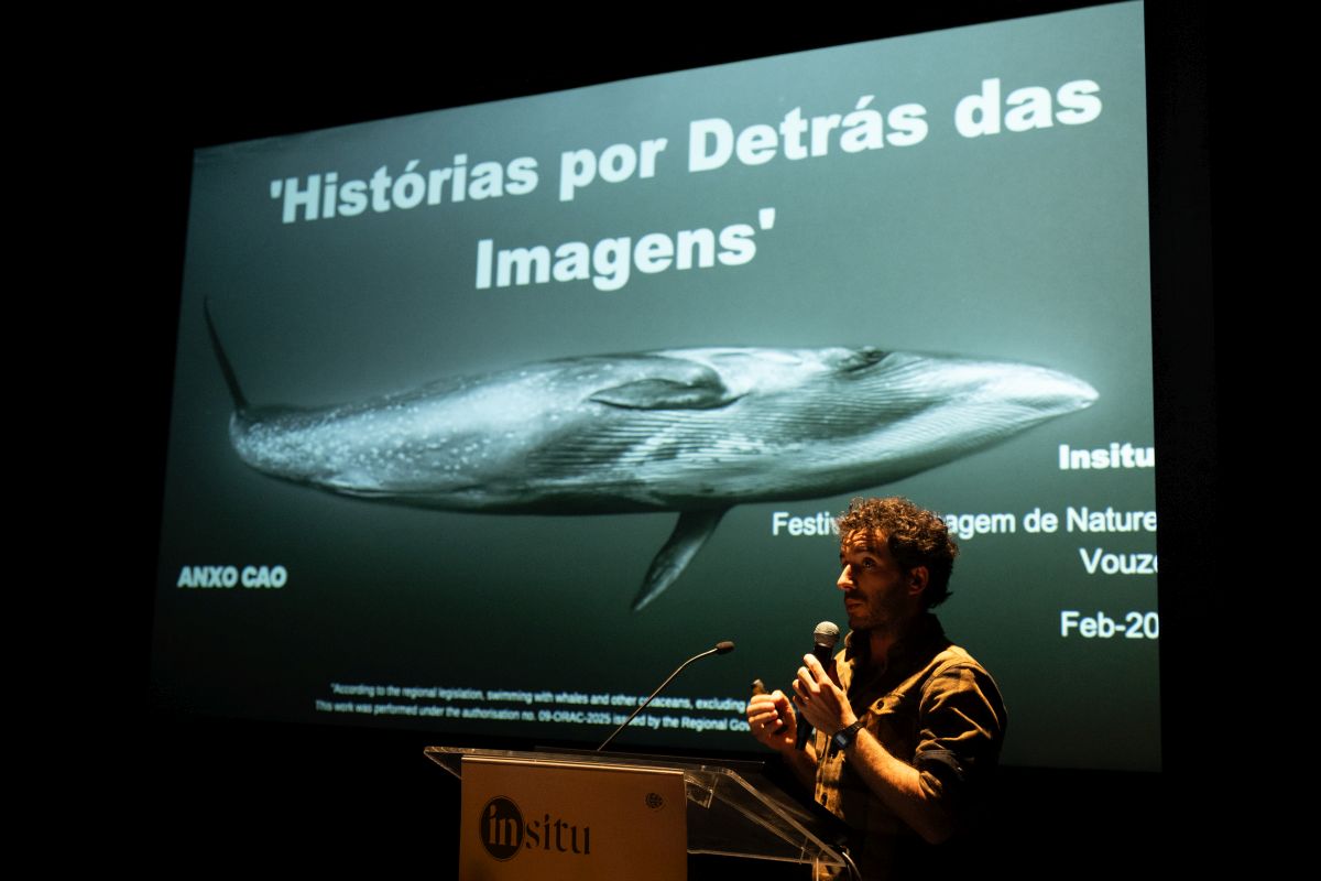 � Jo�o Rodrigues