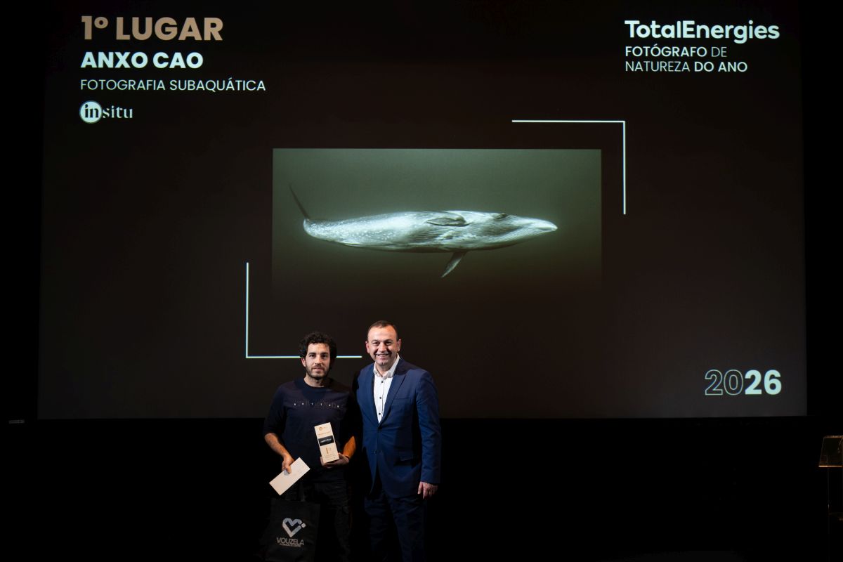 � Jo�o Rodrigues