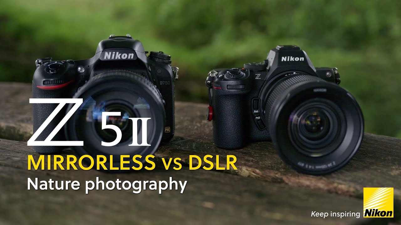 Nikon Z 5II | Fotografia da natureza com Tony Garratty | C�maras mirrorless vs DSLR