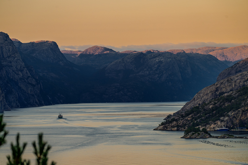 Z9 + NIKKOR Z 180-600 mm f/5.6-6.3 VR, 180 mm, f/5.6, 1/320 s, ISO 400, �Nicolas J�gerg�rd. "A luz certa pode ser a chave para uma fotografia excecional".