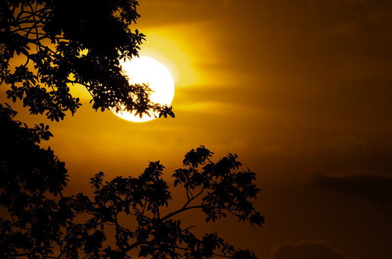 Z9 + NIKKOR Z 180-600mm f/5.6-6.3 VR, 440mm, f/8, 1/20000s, ISO 640, �Nicolas J�gerg�rd. "Dist�ncias focais mais longas s�o perfeitas para criar cenas abstratas, e at� o mais pequeno movimento lateral pode mudar completamente a imagem."