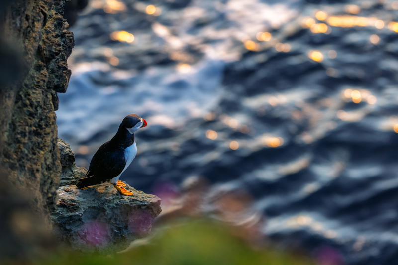Z9 + NIKKOR Z 180-600 mm f/5.6-6.3 VR, 180 mm, f/6.3, 1/160 s, ISO 400, �Nicolas J�gerg�rd. "Captar paisagens a 180 mm isola o sujeito, preservando o contexto da imagem."