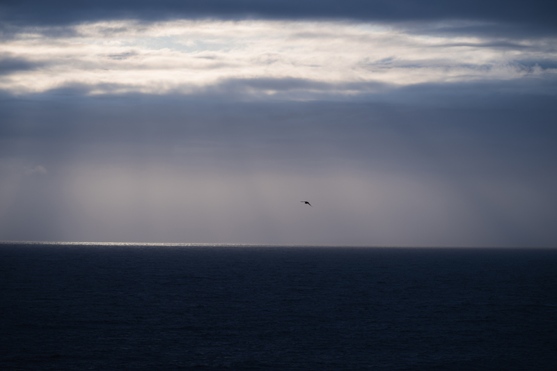 Z9 + NIKKOR Z 180-600 mm f/5.6-6.3 VR, 180 mm, f/5.6, 1/500 s, ISO 64, �Nicolas J�gerg�rd. "Nem sempre preciso de um grande plano para que a imagem funcione bem quando utilizo uma teleobjetiva."