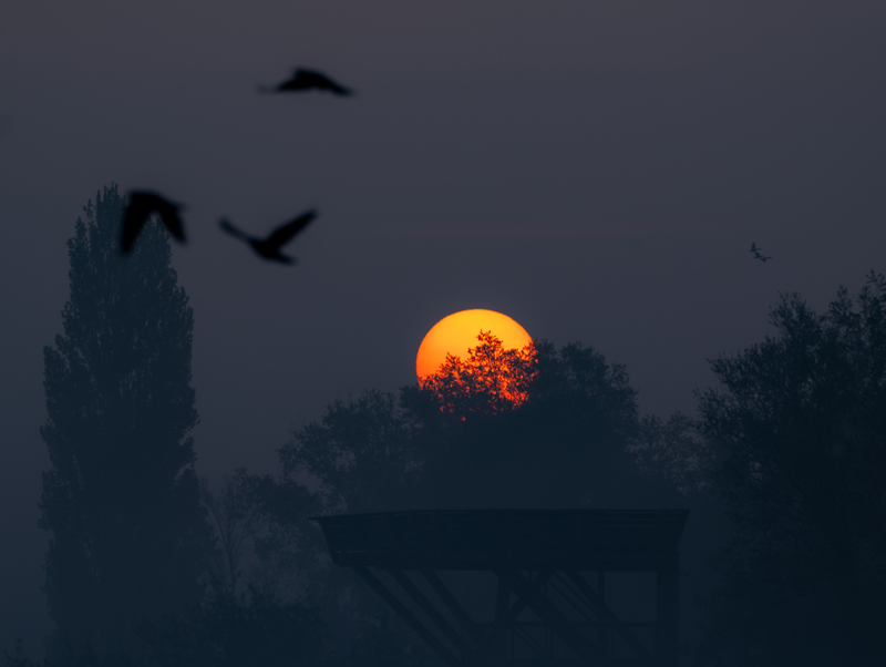 Z9 + NIKKOR Z 180-600 mm f/5.6-6.3 VR, 350 mm, f/6.3, 1/250 s, ISO 110, �Nicolas J�gerg�rd. "Assim que sei que hist�ria quero contar, escolho a dist�ncia focal adequada."