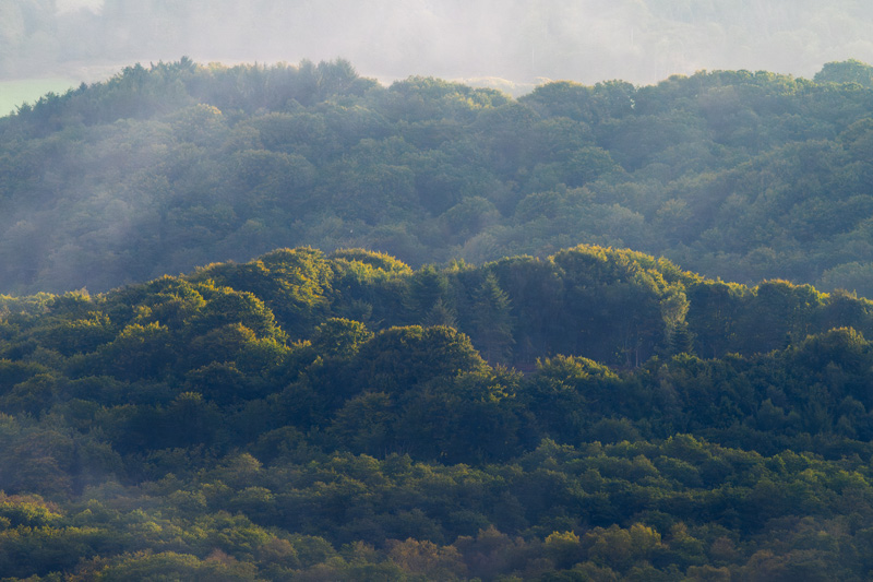 Z9 + NIKKOR Z 180-600mm f/5.6-6.3 VR, 200mm, f/5.6, 1/640 seg, ISO 320, �Nicolas J�gerg�rd.