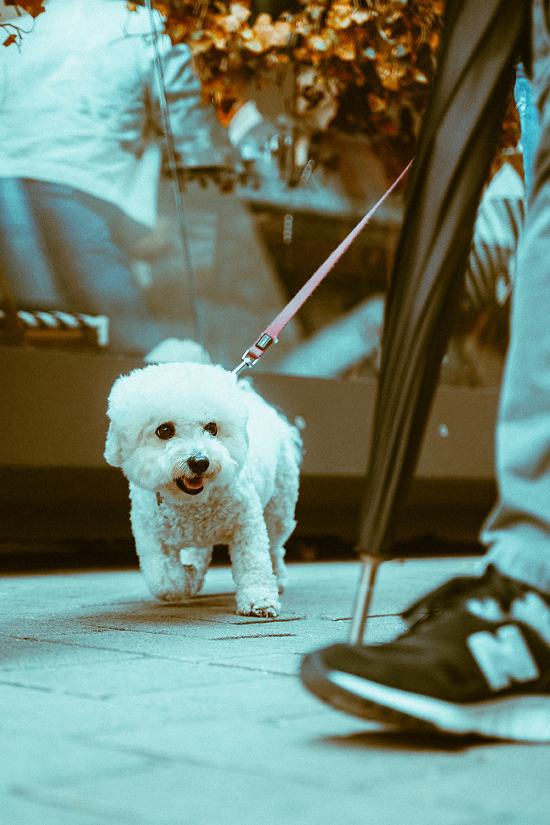 Z5II + NIKKOR Z 28-75mm f/2.8 | 64mm, 1/640 segundos, f/2.8, ISO 200 �Dhan Limwattana