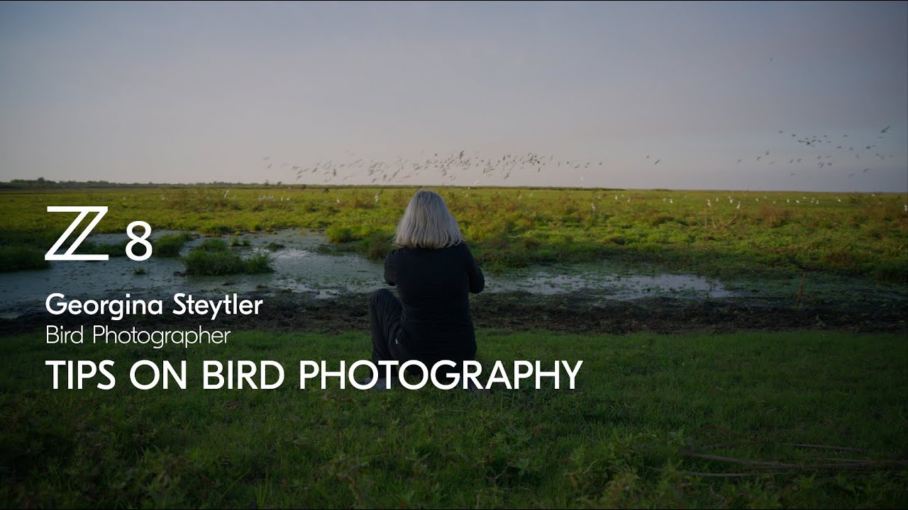 Nikon Z 8 | Dicas para fotografar aves em voo com Georgina Steytler