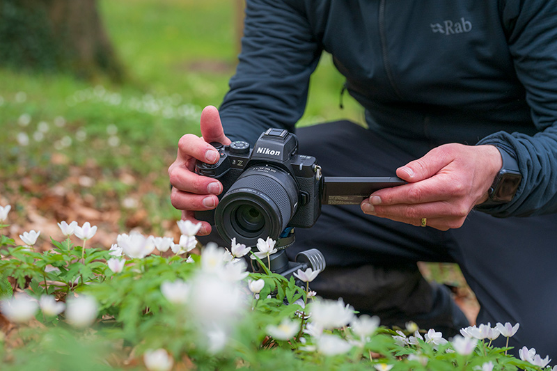 Seja num pequeno trip� ou num computador port�til, a Nikon Z50II e a objetiva NIKKOR Z DX MC 35mm f/1.7 formam um sistema leve e f�cil de utilizar para fotografia macro de flores.