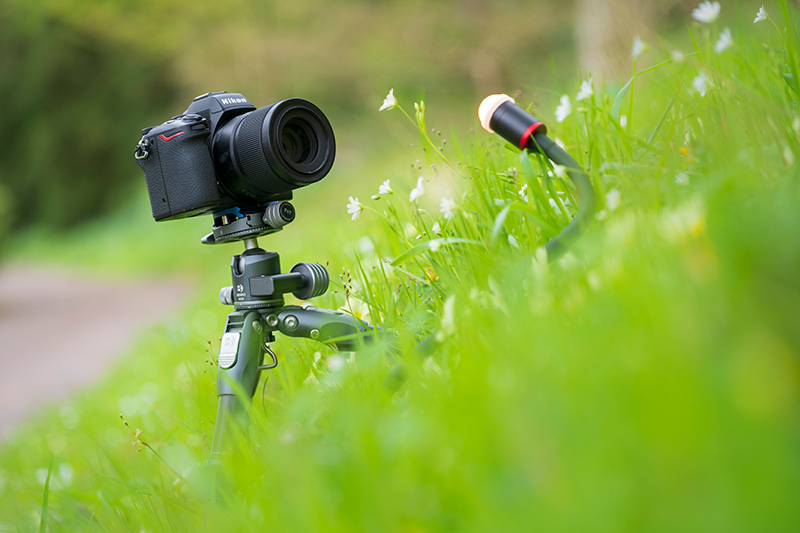 As pequenas luzes LED s�o ideais para fotografia macro. Nikon Z8 + NIKKOR Z 24-120mm f/4 S, 120mm, f/4, 1/60 seg, ISO 400 �Ross Hoddinott