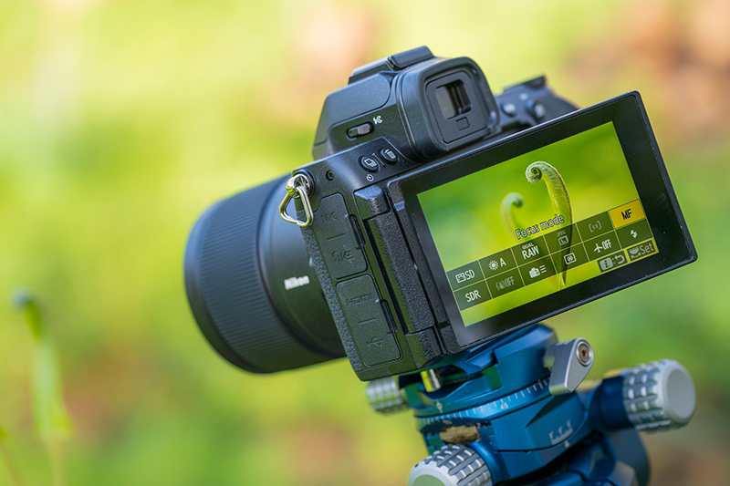 Mude para a focagem manual para ajustes precisos. Nikon Z8 + NIKKOR Z 24-120mm f/4 S, 78mm, f/4, 1/500 seg, ISO 400 �Ross Hoddinott