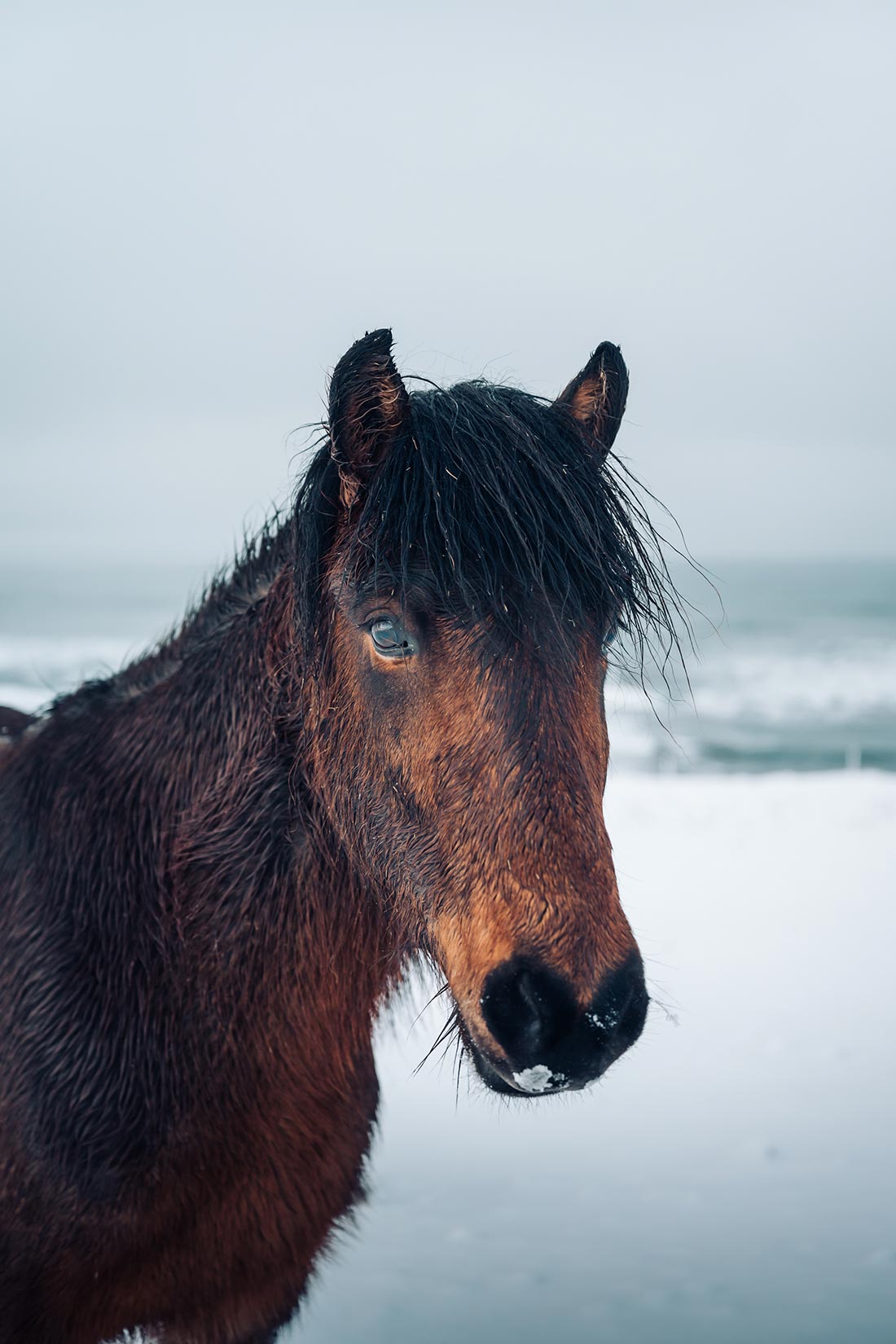 44mm, 1/125 seg., f/2.8, ISO 400. �Norris Niman