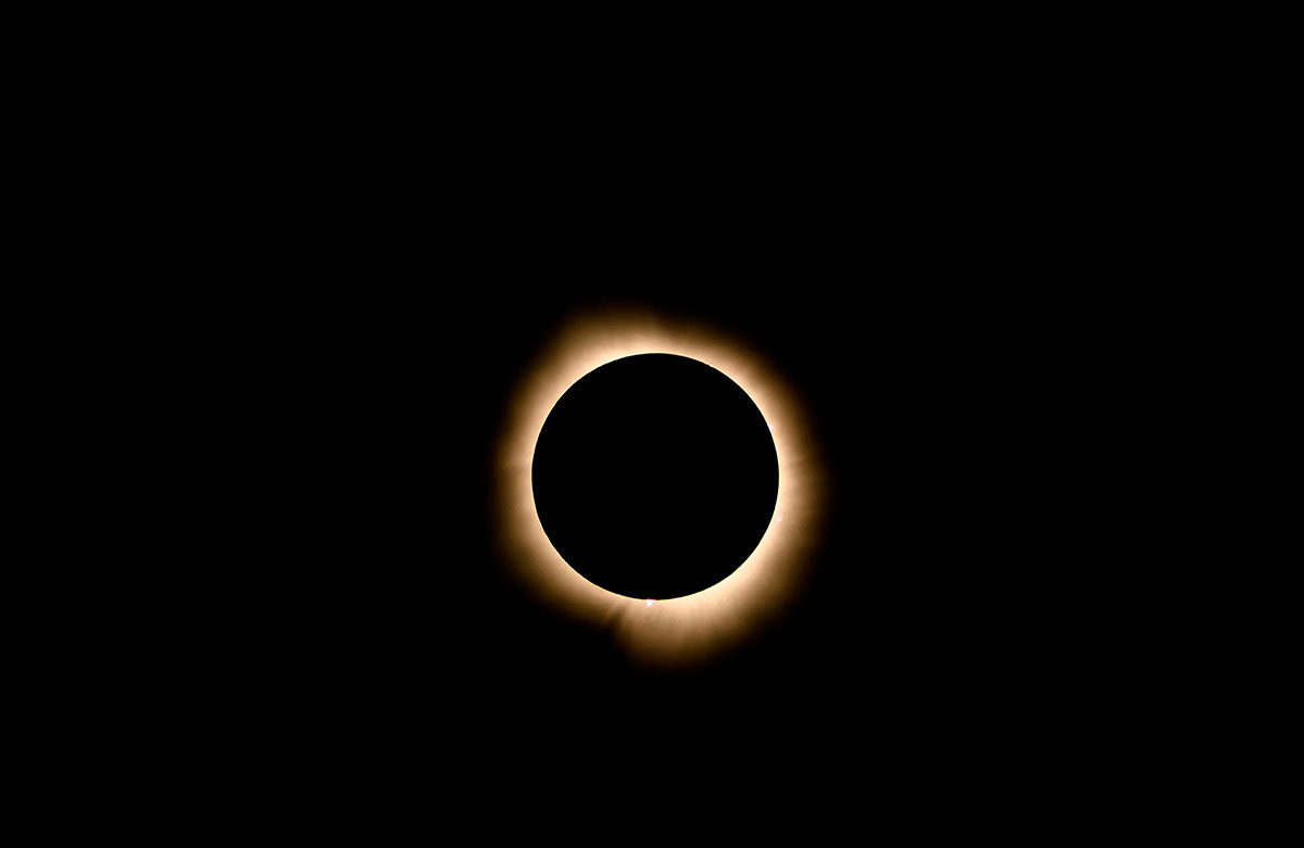 NIKON Z 8 | VR 70-200mm f/2.8E | 1/799 sec | f/8.0 | 400mm | ISO 400 | �Angel Fux