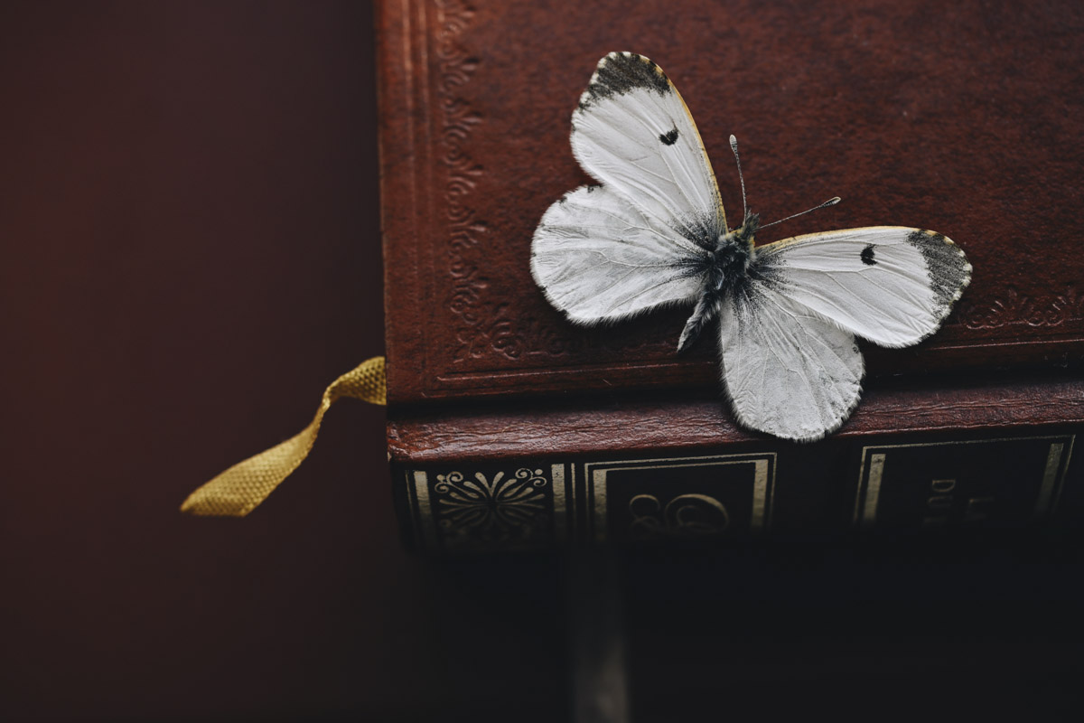 50II + NIKKOR Z DX 35mm f/1.7. | f/4, 1/160 s, ISO 100, �Sara Tasker