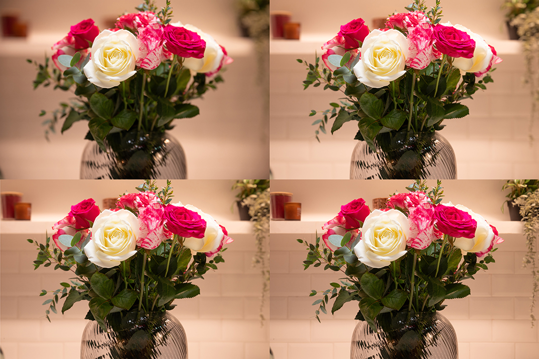 A dist�ncia focal tamb�m influencia a intensidade do bokeh. Da esquerda para a direita: f/2.8, f/6.3, f/13, f/22. Z6II + NIKKOR 24-70mm f/2.8 com dist�ncia focal de 70mm.